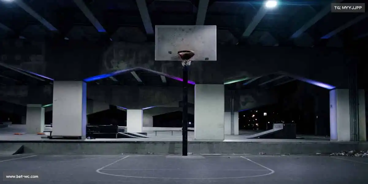 行业领先的理由